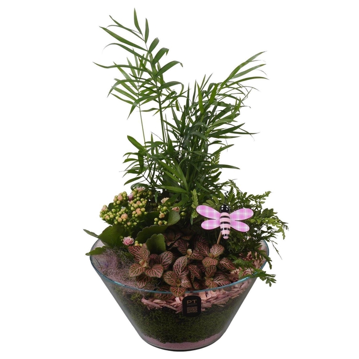 <h4>Arr.    Planten  H%</h4>