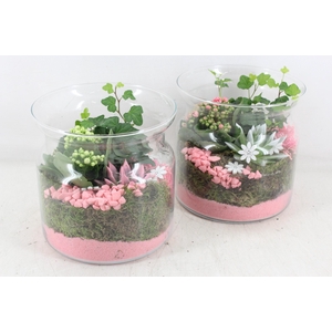 arr2 MB - Glas candy 285/5 - roze/wit