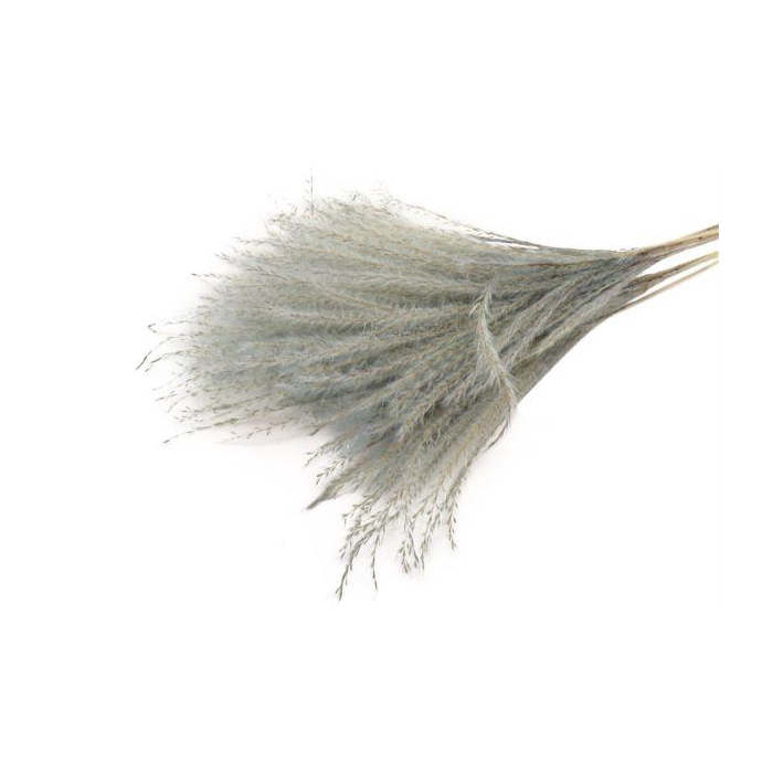 <h4>Bunch Fluffy Silver Grass 10pcs L75</h4>