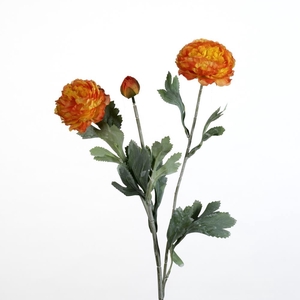 AF Ranunculus spr L52cm orange