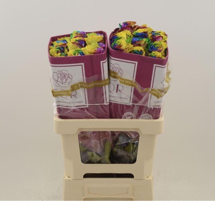 <h4>R GR OV KLB H%</h4>