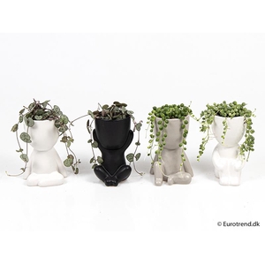 E 2154 yoga med dyrt mix