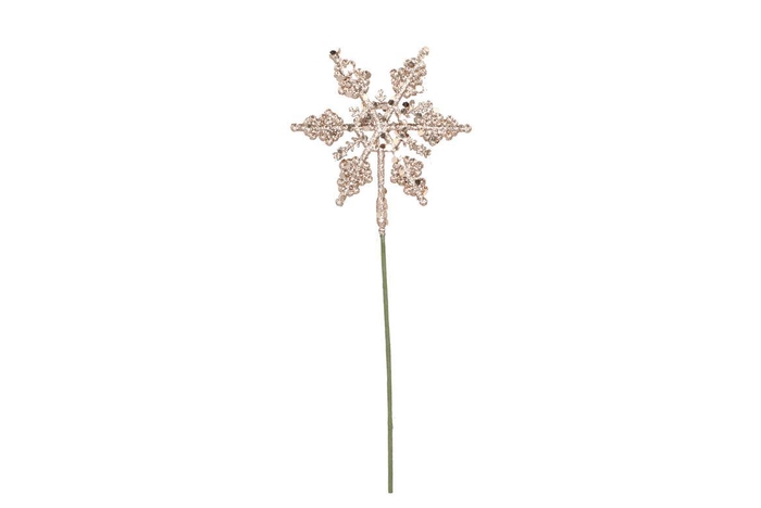 Pick Shine Snowflake Cozy Champagne 25cm P/24 Nm