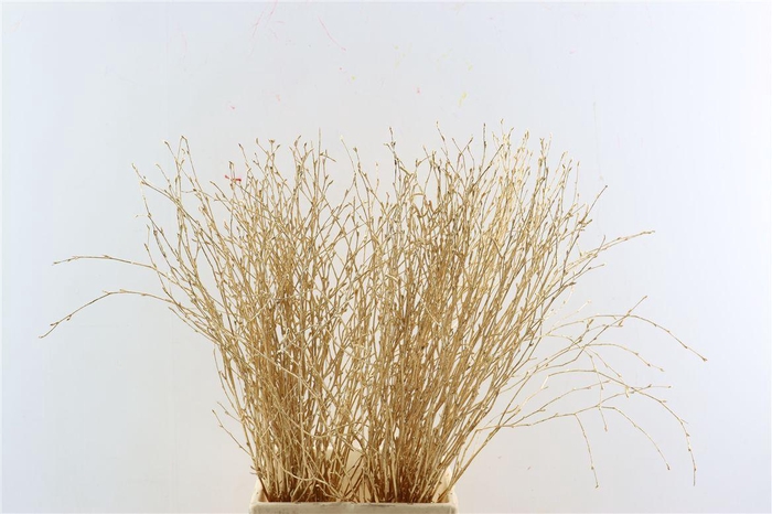 <h4>Berk 70cm Antiek Goud Pbs</h4>