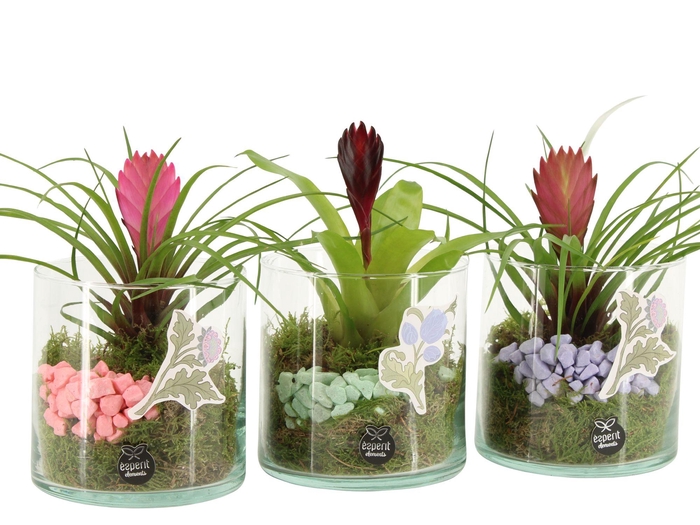 <h4>21937: Contradiction arrangement</h4>