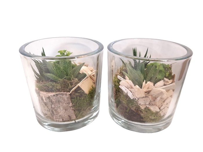 <h4>913 GMX / GCI14GMX Cil glas dik mini groenmix + deco naturel</h4>