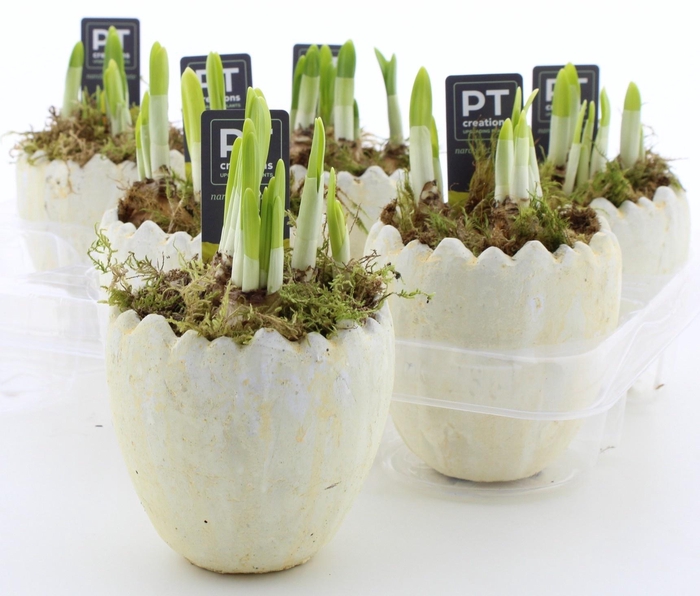 <h4>ARR N TETE A TETE</h4>