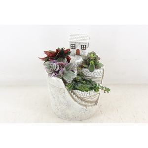 arr3 SN - Mountain villa L x3