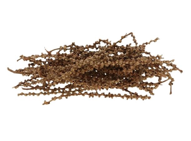 Palm Finger 50g L10W12H27