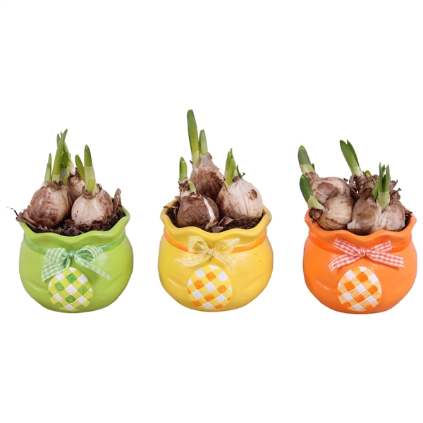 <h4>Easter Arr. Narcis Ceramic Colorful Egg Bag Mix Ø10cm</h4>