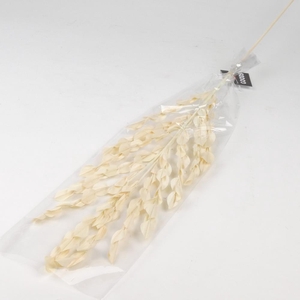 DF Fire Leaves Bleach Branched