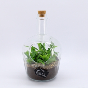 GRCR-2544 Green Essentials Terrarium