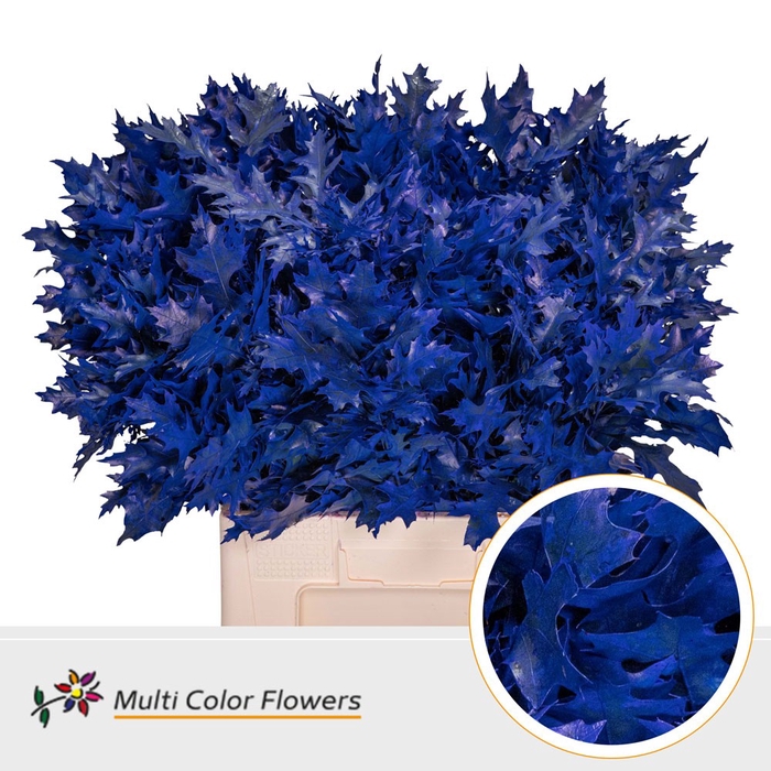 <h4>Eik Fijn (60 cm) Frost Blauw donker</h4>