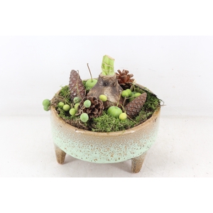 arr4 Amaryllis MB - Ker. schaal pootjes