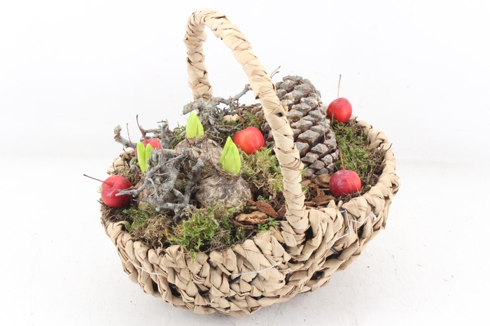 <h4>arr4 Hyacint MB - Hengselmand 285/4</h4>