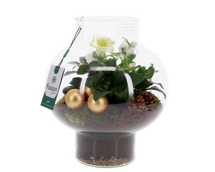 <h4>Green Bottle Laura Medium met Helleborus</h4>