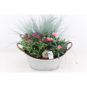 arr4 Outdoor PL - Zink planter ovaal Los