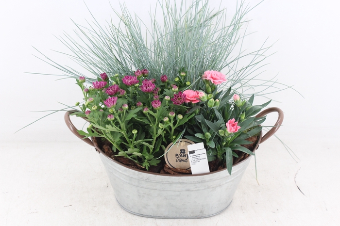 <h4>arr4 Outdoor PL - Zink planter ovaal Los</h4>