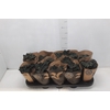 BEGONIA DARK MAMBO P11 PO