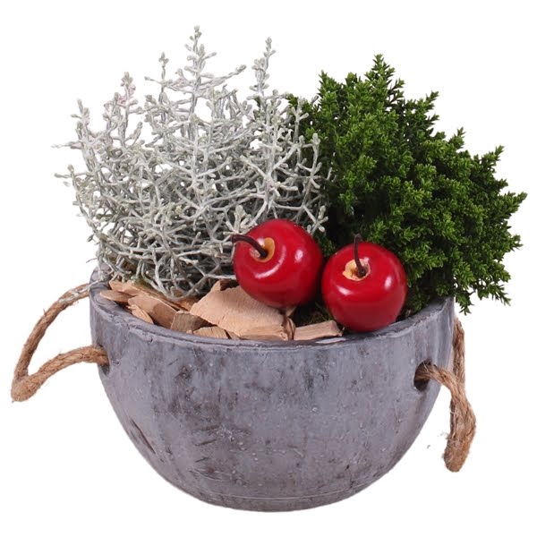 Autumn Arr. Outdoor Concrete Bowl Ø16cm 2PP