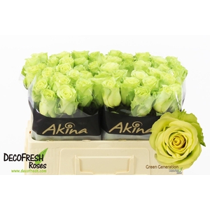 R Gr Green Generation