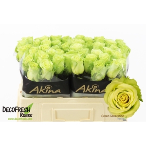 R Gr Green Generation