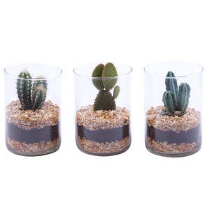 Yearround Arr. Cactus Glass Cylinder Ø11,5cm 1PP
