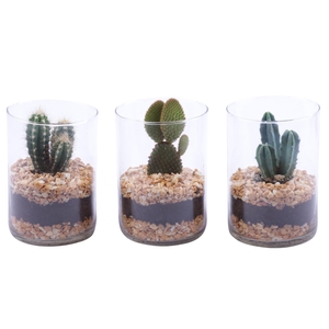 Yearround Arr. Cactus Glass Cylinder Ø11,5cm 1PP
