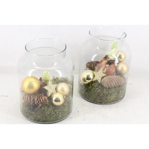 arr4 Amaryllis MB - Glas Napoleon x6 Gold