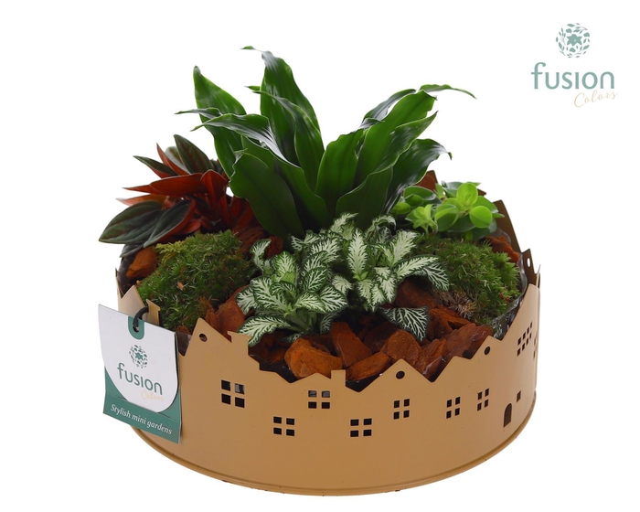 <h4>Zinken schaal Huisjes Medium met arrangement</h4>