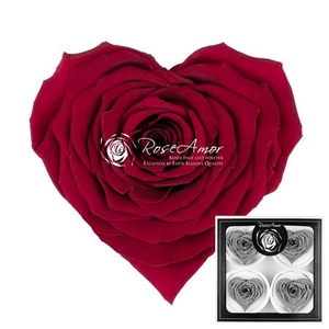 Corazon Bella Pin02