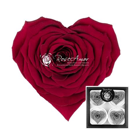 <h4>Corazon Bella Pin02</h4>