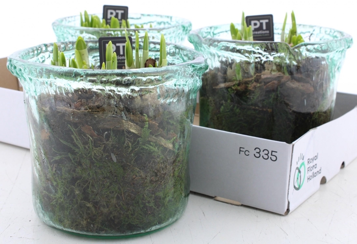 <h4>ARR N TETE A TETE</h4>