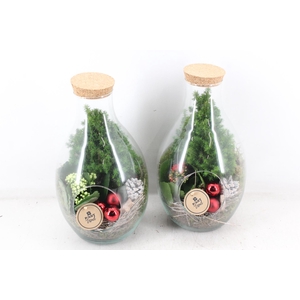 arr2 PL - Glas druppel vaas 999/4 - rood/wit