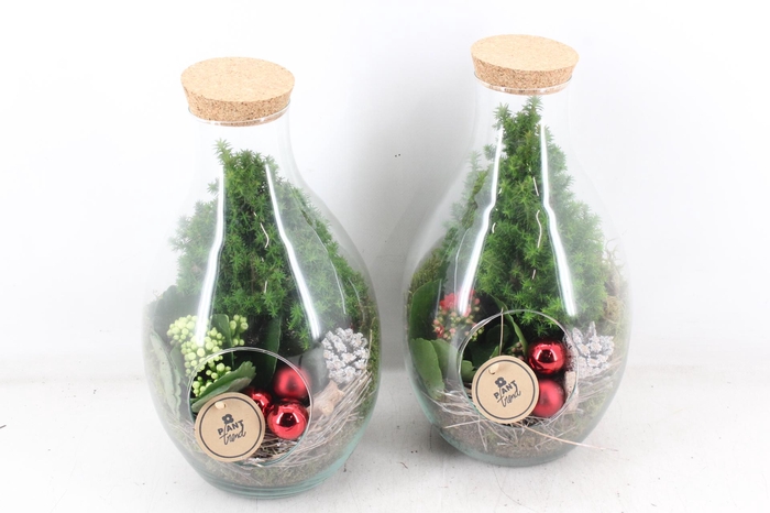 <h4>arr2 PL - Glas druppel vaas 999/4 - rood/wit</h4>