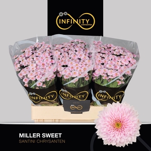 CHR S MILLER SWEET