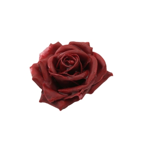 Wax Rose D10 Bordeaux