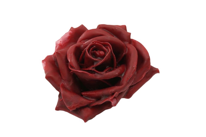 <h4>Wax Rose D10 Bordeaux</h4>