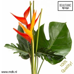 Heliconia Bouquet Amor X3 MDK