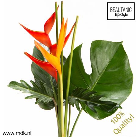 <h4>Heliconia Bouquet Amor X3 MDK</h4>