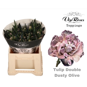 Tu Du Vip Double Dusty Olive