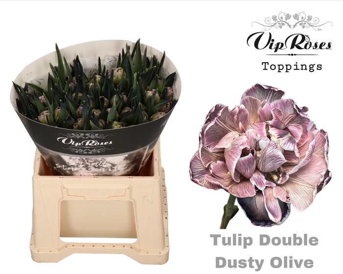 <h4>Tu Du Double Dusty Olive</h4>