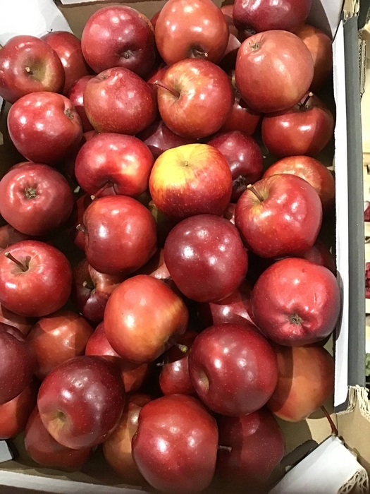 APPEL ROOD (LAK)