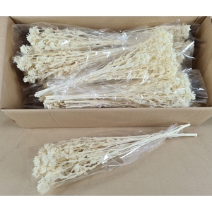 DF Carthamus Bs Bleach 100g