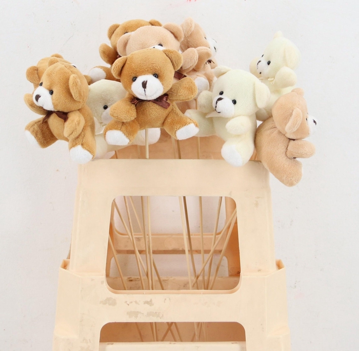 <h4>HUIS EN TUINDECO H%</h4>