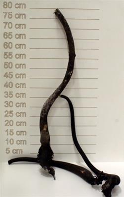 <h4>DROOG KELP 100 CM  P</h4>