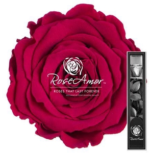 30cm Stem Pin05