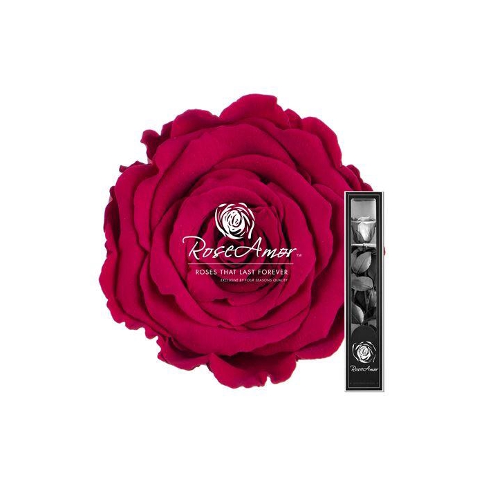 <h4>30cm Stem Pin05</h4>