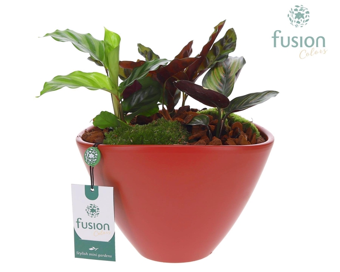 <h4>Pot keramiek ovaal Large met arrangement</h4>