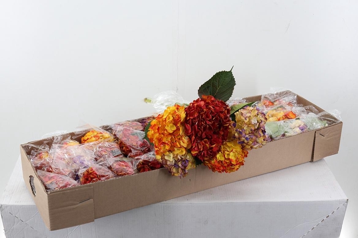 <h4>Hydr Autumn Mix Box</h4>